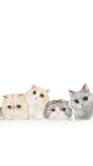 猫咪超可爱 喵星人手机壁纸下载(1)
