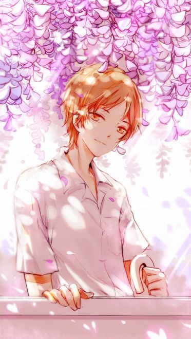 一世与妖随行 夏目友人帐手机壁纸(1)