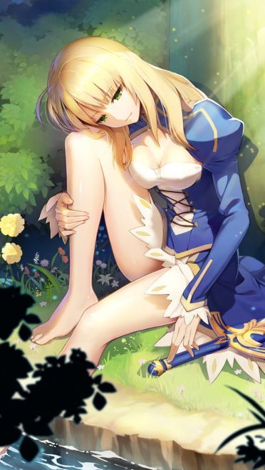 呆毛王 Fate/stay night  saber 手机壁纸下载(1)