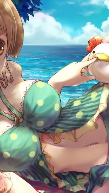 lovelive的小鸟儿 南小鸟电脑壁纸(1)