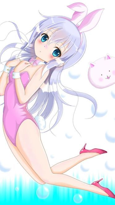 请问今天要来点兔子吗？软萌日常手机壁纸