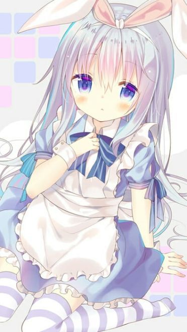 请问今天要来点兔子吗？软萌日常手机壁纸