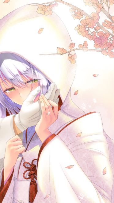 舰队Collection 太太翔鹤 舰娘动漫手机壁纸下载(1)