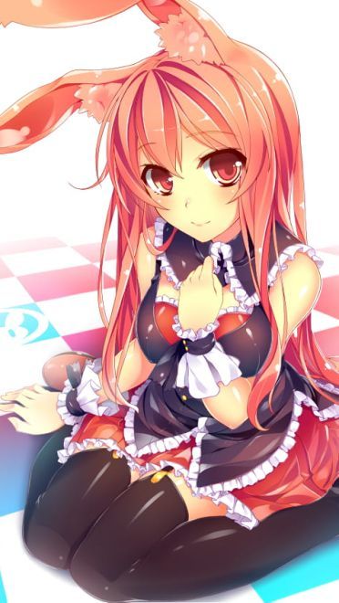 问题儿童都来自异世界 黑兔手机壁纸