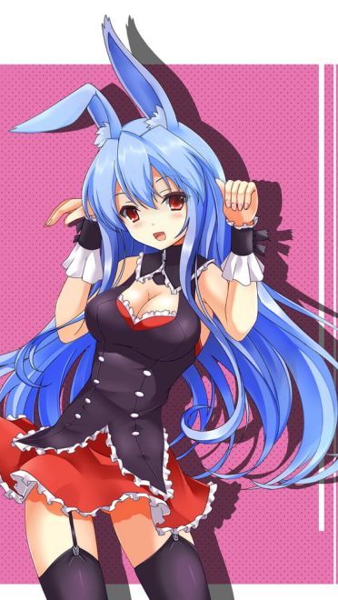 问题儿童都来自异世界 黑兔手机壁纸