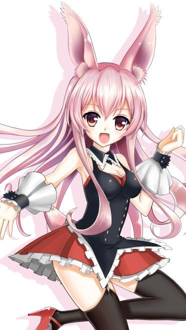 问题儿童都来自异世界 黑兔手机壁纸