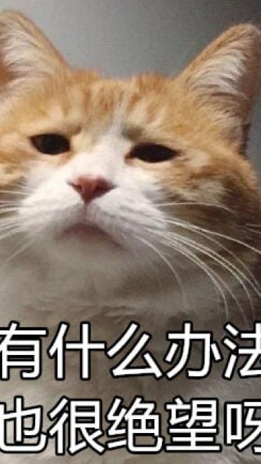 我能怎么样 我也很绝望表情包下载（第二弹）