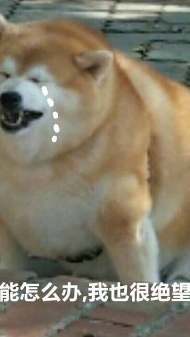 我能怎么样 我也很绝望表情包下载（第二弹）