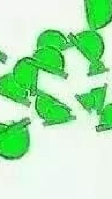 白百何出轨？陈羽凡必备表情包！是男人就原谅她