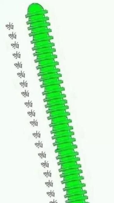 白百何出轨？陈羽凡必备表情包！是男人就原谅她