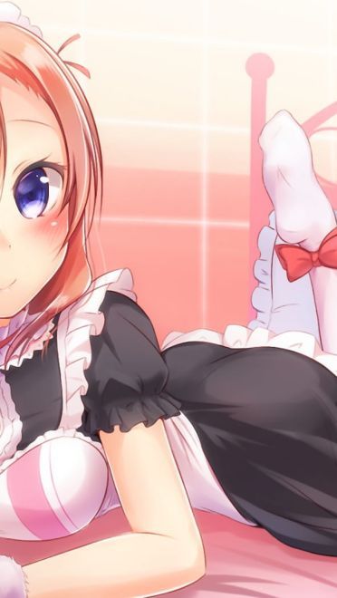 lovelive!蠢萌火龙果 高坂穂乃果电脑壁纸