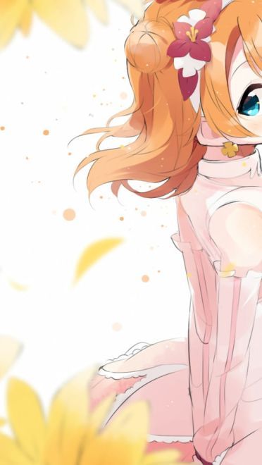 lovelive!蠢萌火龙果 高坂穂乃果电脑壁纸