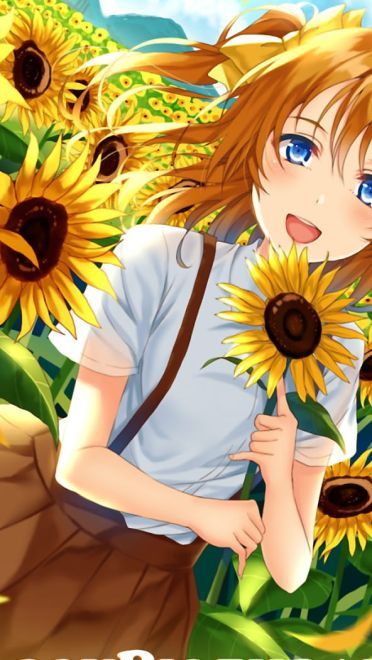 lovelive!蠢萌火龙果 高坂穂乃果电脑壁纸