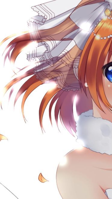 lovelive!蠢萌火龙果 高坂穂乃果电脑壁纸