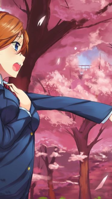 lovelive!蠢萌火龙果 高坂穂乃果电脑壁纸