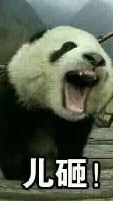 超魔性的呼叫儿砸表情图片