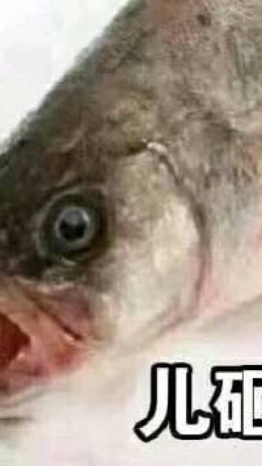 超魔性的呼叫儿砸表情图片