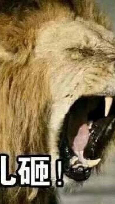 超魔性的呼叫儿砸表情图片