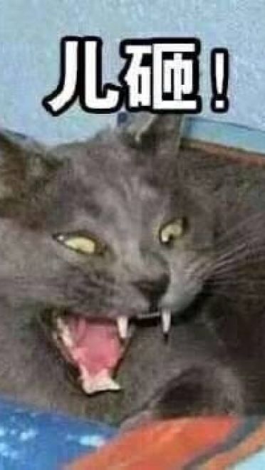 超魔性的呼叫儿砸表情图片