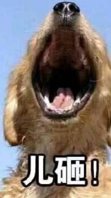 超魔性的呼叫儿砸表情图片