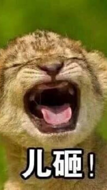 超魔性的呼叫儿砸表情图片