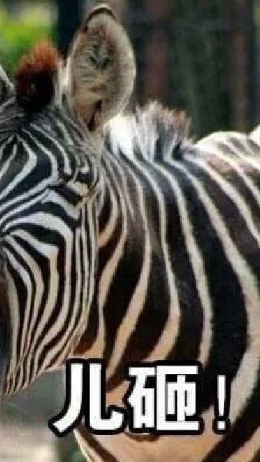 超魔性的呼叫儿砸表情图片