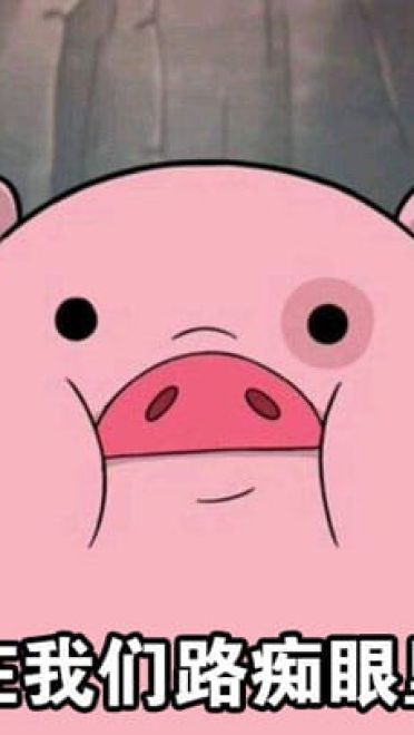 路痴的日常卡通小猪表情包