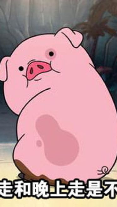 路痴的日常卡通小猪表情包