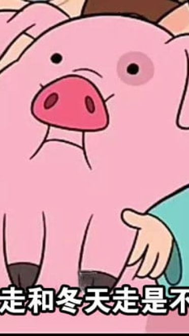 路痴的日常卡通小猪表情包