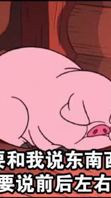 路痴的日常卡通小猪表情包