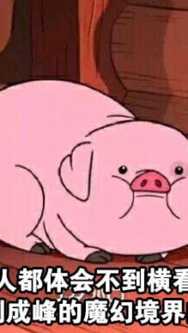 路痴的日常卡通小猪表情包