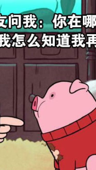 路痴的日常卡通小猪表情包