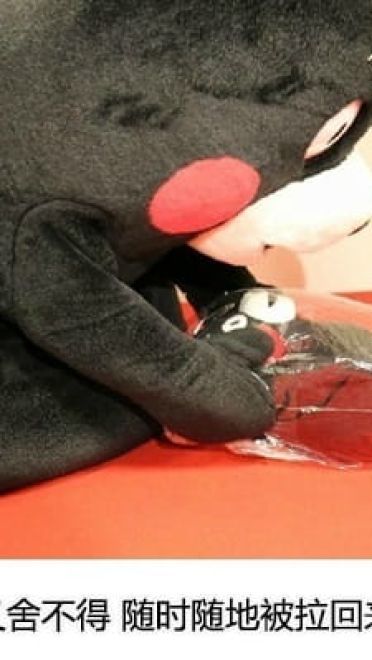 追星饭爱豆是一种怎样的体验表情包