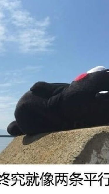 追星饭爱豆是一种怎样的体验表情包