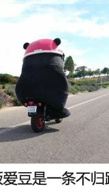 追星饭爱豆是一种怎样的体验表情包