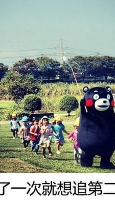 追星饭爱豆是一种怎样的体验表情包