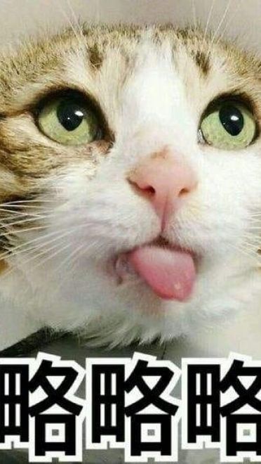 萌宠吐舌头表情包！