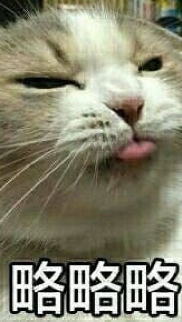 萌宠吐舌头表情包！