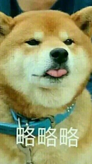 萌宠吐舌头表情包！