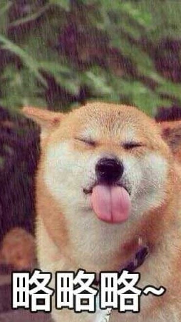 萌宠吐舌头表情包！