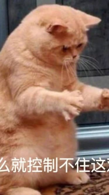 搞怪小猫带字表情图片表情包