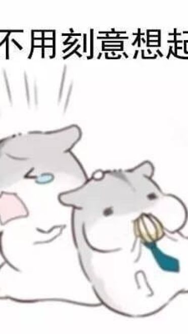 最适合的朋友系列表情包图片