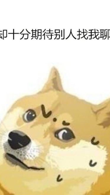 单身狗不愿聊天表情包