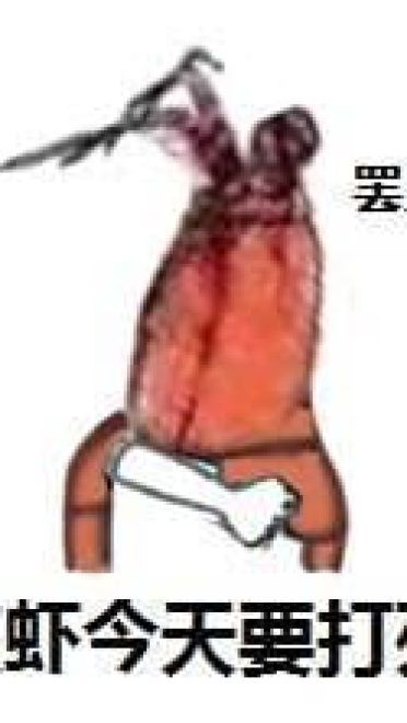 皮皮虾怒了微信表情图片