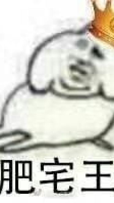 肥宅表情包 肥宅王