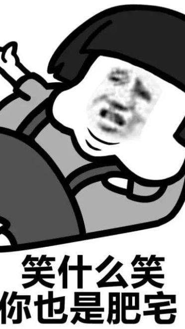 肥宅表情包 肥宅王