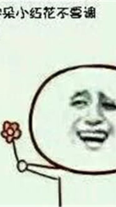 送你花花微信表情图片大全