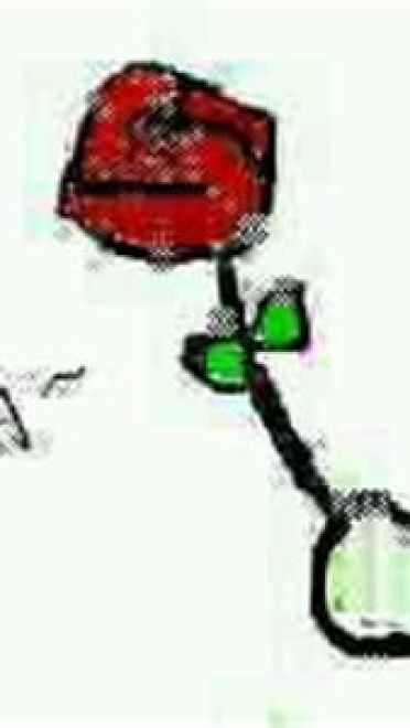 送你花花微信表情图片大全