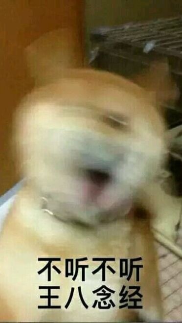 不听不听王八念经搞笑表情包