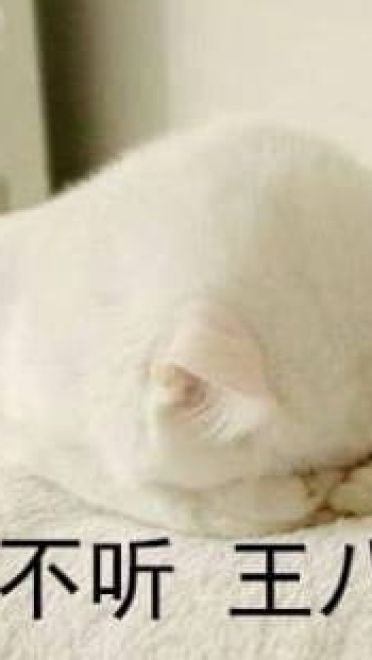 不听不听王八念经搞笑表情包